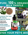 Liver Support Supplement for Dogs & Cats