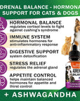 Adrenal Balance for Dogs & Cats